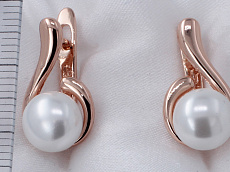 фото Серьги  fallon - (артикул - 18e093h0-FF1993)